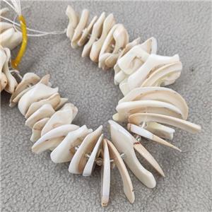White Queen Shell Beads Slice Freeform, approx 20-40mm, 20cm length