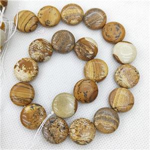 Natural Picture Jasper Circle Beads, approx 20mm