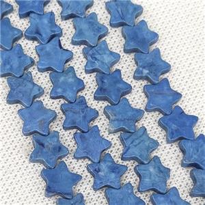 Howlite Turquoise Star Beads Blue Dye, approx 10mm