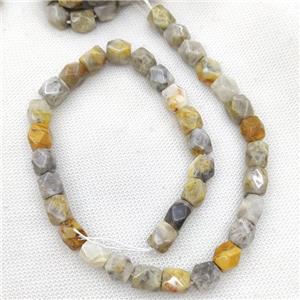 Natural Crazy Lace Agate Beads Freeform Faceted, approx 9-11mm