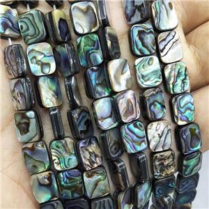 Abalone Shell Rectangle Beads Multicolor, approx 8x10mm