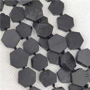Natural Black Shungite Beads Hexagon, approx 14-16mm