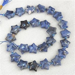 Natural Blue Sodalite Star Beads, approx 15mm