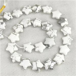 Natural White Howlite Turquoise Star Beads, approx 15mm