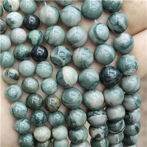 Natural Mud Jasper Beads Green Smooth Round, approx 6mm dia