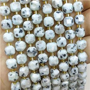 Natural Kiwi Jasper Beads Faceted Cube, approx 6-7mm