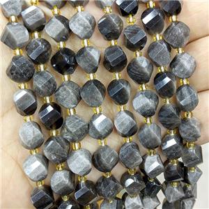 Natural Obsidian Twist Beads S-Shape Faceted Silver Flash, approx 9-10mm