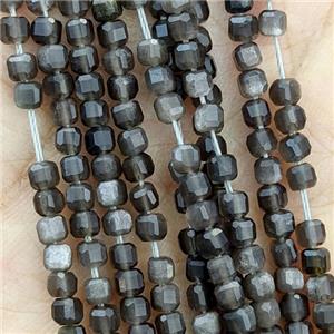 Natural Obsidian Beads Silver Flash Faceted Cube, approx 2.5mm