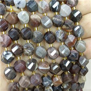 Natural Wood Petrified Jasper Twist Beads S-Shape Faceted, approx 7-8mm
