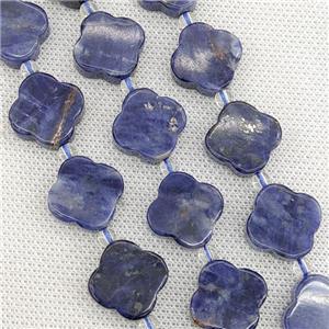 Natural Blue Sodalite Clover Beads, approx 18mm