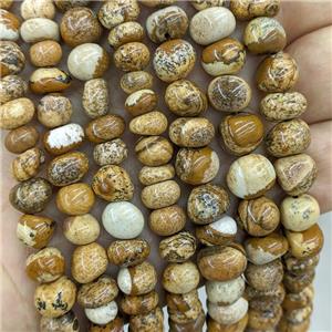 Natural Picture Jasper Chips Beads Freeform Khaki, approx 6-9mm