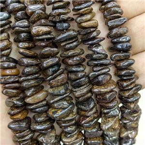 Natural Bronzite Chips Beads Freeform, approx 8-13mm