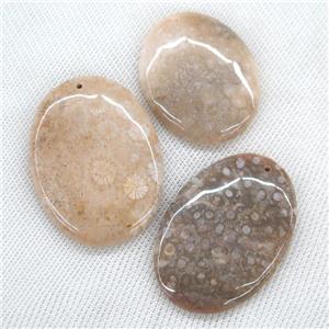 Coral Fossil Pendants, oval, yellow, approx 30-60mm