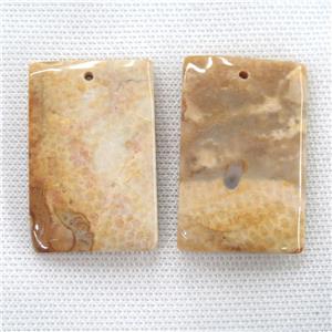 yellow Coral Fossil pendants, rectangle, approx 30-45mm