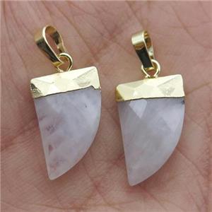 white MoonStone horn pendant, gold plated, approx 11-16mm
