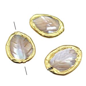 Mother of Pearl beads, leaf, gold plated, approx 22-33mm