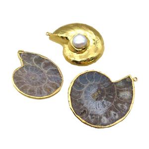 Ammonite Fossil pendant with pearl, gold plated, approx 35-45mm