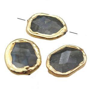 Labradorite beads, freeform, gold plated, approx 20-27mm