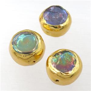 Abalone Shell button coin beads, gold plated, approx 20-21mm