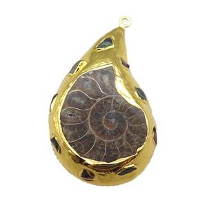 Ammonite Fossil pendant, gold plated, approx 30-50mm