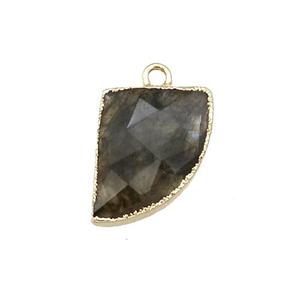 Labradorite Horn Pendant Gold Plated, approx 13-17mm