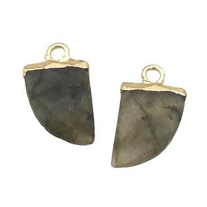Natural Labradorite Pendant Horn Gold Plated, approx 5-15mm