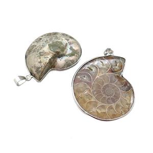 Natural Ammonite Fossil Pendant, approx 30-40mm