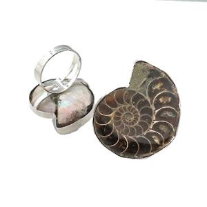 Natural Ammonite Fossil Rings Adjustable, approx 25-40mm, 18mm dia