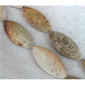 Coral Fossil Beads, chrysanthemum, horse eye, approx 15x35-17x39mm, 16.5 inches