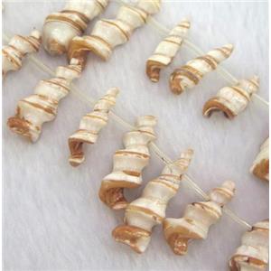 freshwater shell bead, coffee, approx 20-40mm