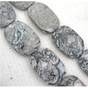 gray Picture Jasper beads, faceted rectangle, approx 25-35mm