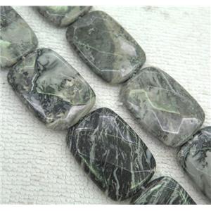 gray picture jasper beads, faceted rectangle, approx 25-35mm