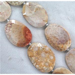 Coral Fossil slice Beads, faceted freeform, B-grade, approx 25-60mm