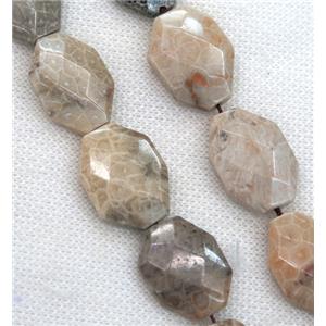 Coral Fossil slice beads, faceted freeform, approx 18x25mm