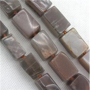 gray Moonstone cuboid beads, approx 13-25mm