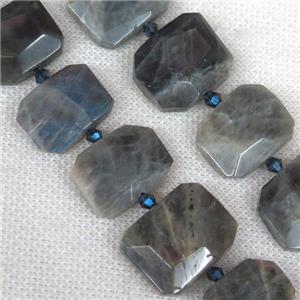 Labradorite nugget bead, faceted rectangle, approx 15-22mm