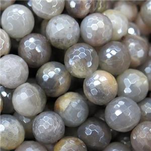 gray MoonStone beads, light electroplated, faceted round, approx 4mm dia