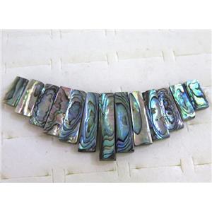Paua Abalone shell choker for necklace, approx 12-30mm