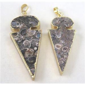 Ammonite Fossil pendant, arrowhead, gold plated, approx 15-55mm