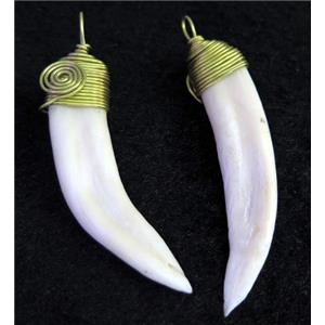 white wolftooth pendant, horn, wire wrapped, approx 15-60mm