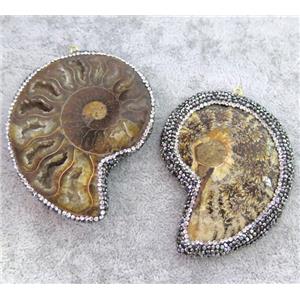 Ammonite Fossil pendant paved rhinestone, approx 40-70mm