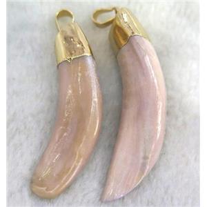 wolf-tooth pendant, horn, gold plated, approx 30-60mm