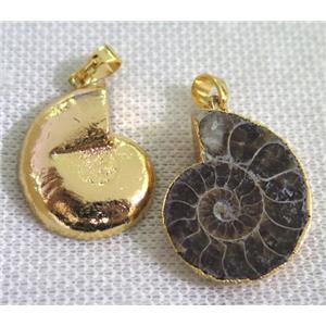 Ammonite Fossil pendant, gold plated, approx 15-25mm