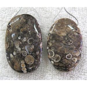 Ammonite Fossile pendant, freeform, approx 20-50mm