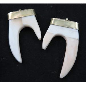 white bone tusk pendant, tiger tooth, approx 35-60mm