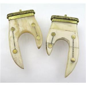 white cattle Bone tusk pendant, tiger tooth, approx 40-65mm