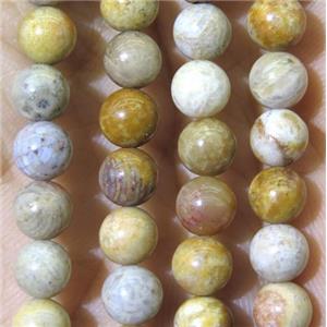 yellow Fossil Coral beads, grade B, round, approx 6mm dia