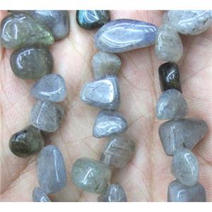 Labradorite bead chips, freeform, approx 8-15mm, 15.5 inches