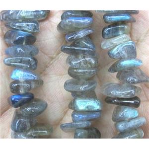 Labradorite beads chip, freeform, approx 8-15mm, 15.5 inches