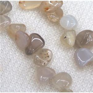 gray agate chip beads, freeform, approx 6-10mm, 15.5 inches